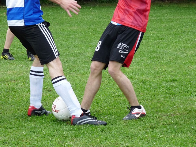 富的门将将 富的门将将