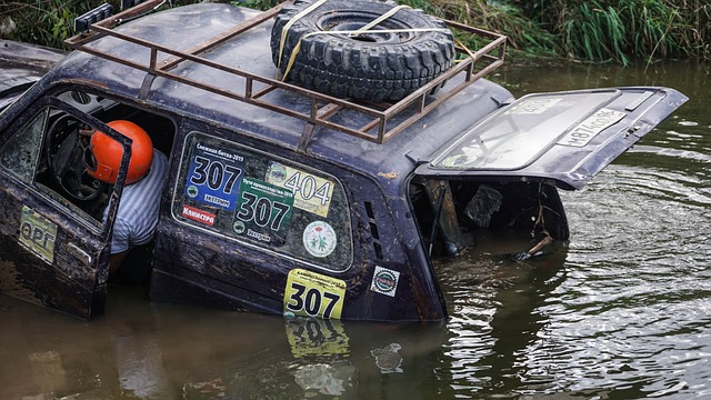能够长期保 能够长期保