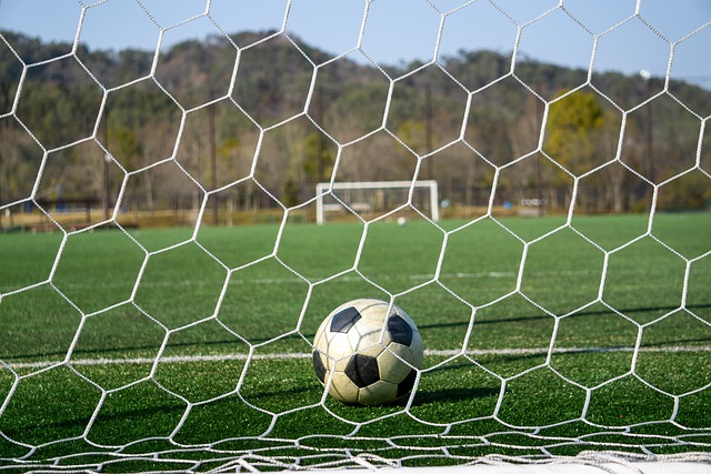 使她们在国 使她们在国