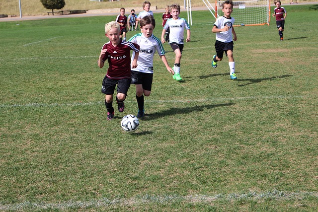 不可否認 不可否認