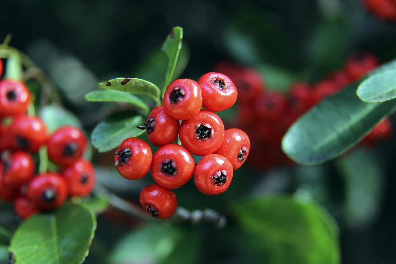 两人之间的 两人之间的